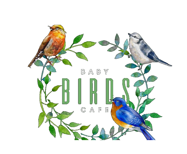 Baby Birds Cafe logo